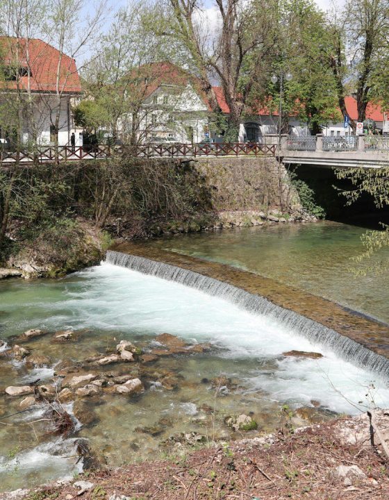 A river flowing under a bridge next to a lush green forest
