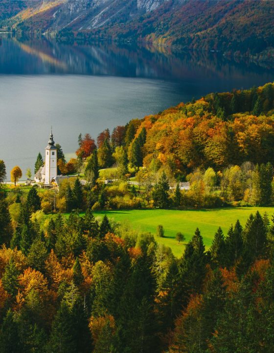 NasaSlovenija_Bohinj_2