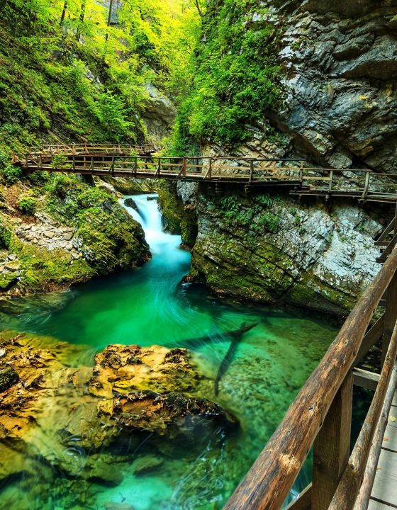 NasaSlovenija_Soteska_Vintgar_1